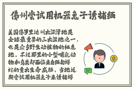 国产极品**在线播放